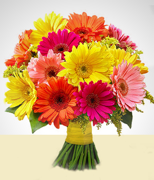 Flores a Per Mirage: Arreglo Multicolor  de Gerberas