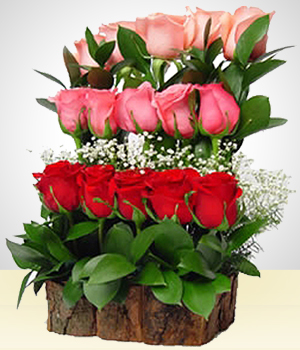 Flores a Per Cataratas de ensueo con 15 Rosas