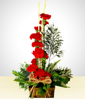 Flores a Per Insaciable: 12 Claveles Rojos en Base Rstica