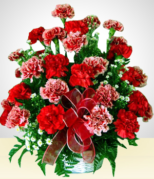 Flores a Per Rojo Ilusin: Claveles Rojos y Rosados