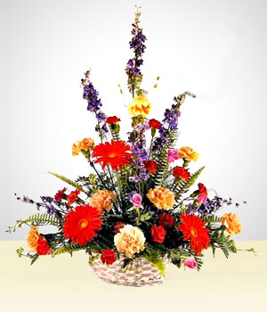 Flores a Per Celestial: Claveles Multicolores