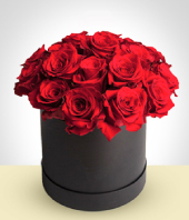 Da de San Valentn - Caja Velvet 24 rosas